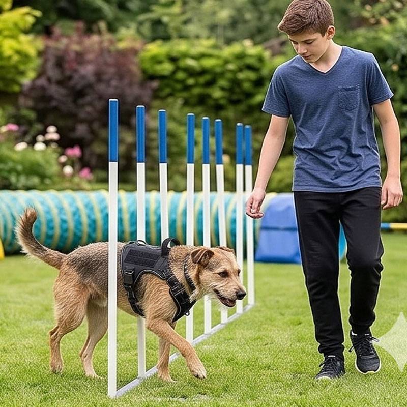 ユニバーサルベストハーネス犬用フードバッグ折りたたみボウルス - Food Snacks For Hiking のレビューと価格